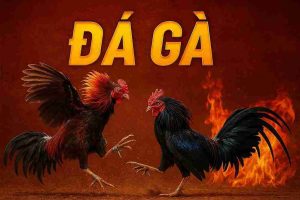 Đá gà 88SLOT
